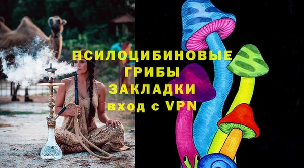 apvp Алзамай