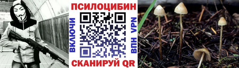 где найти   Полтавская  Галлюциногенные грибы ЛСД 